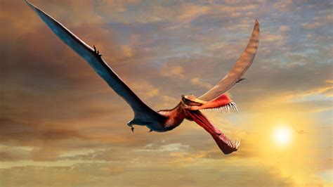 what is the largest pterosaur.